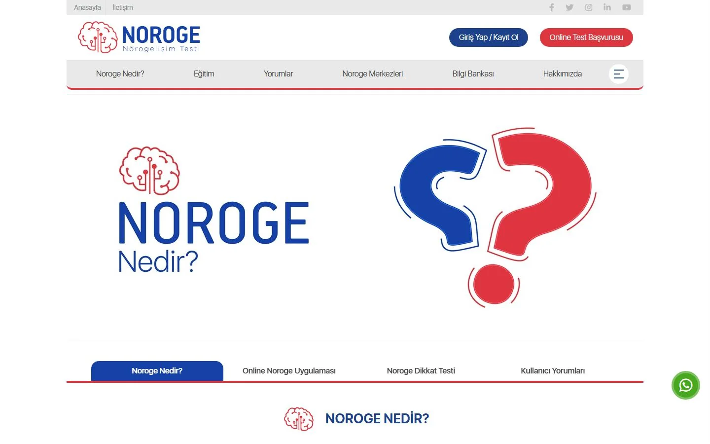 Nöroge online nörogelişim testi platformu